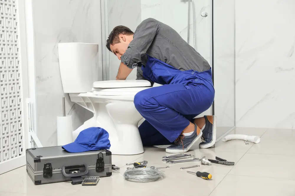 Toilet Installation in Bloomfield